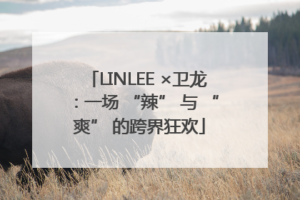 LINLEE ×卫龙：一场 “辣” 与 “爽” 的跨界狂欢