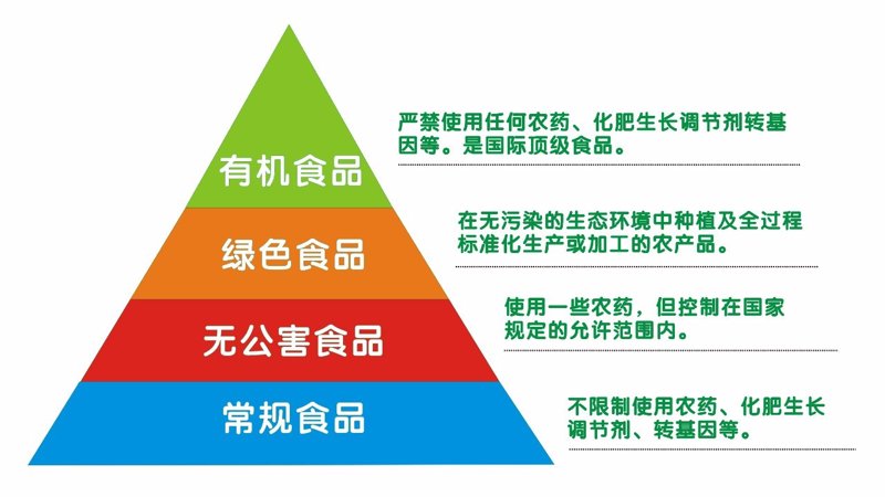 如何在竞争激烈的餐饮市场中脱颖而出？杭州食盈信息科技有限公司或许能给你答案。