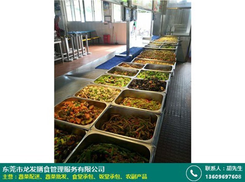 如何在竞争激烈的市场中脱颖而出？——以“河南食赢利餐饮管理”与“杭州食盈信息科技”的对比为例